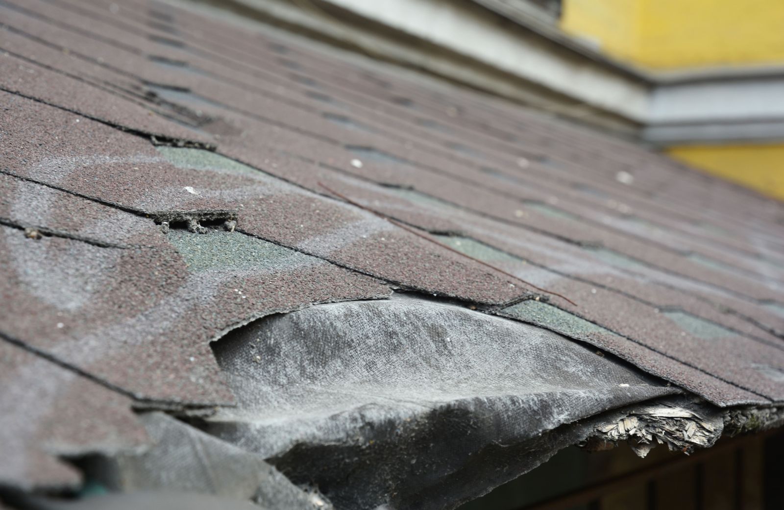 Adams Roofing Inc. Images