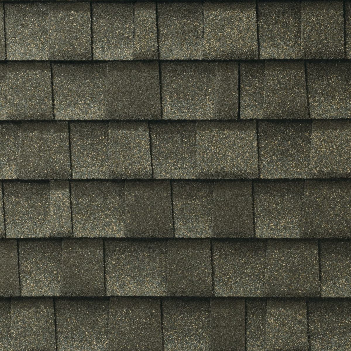 Adams Roofing Inc. Images