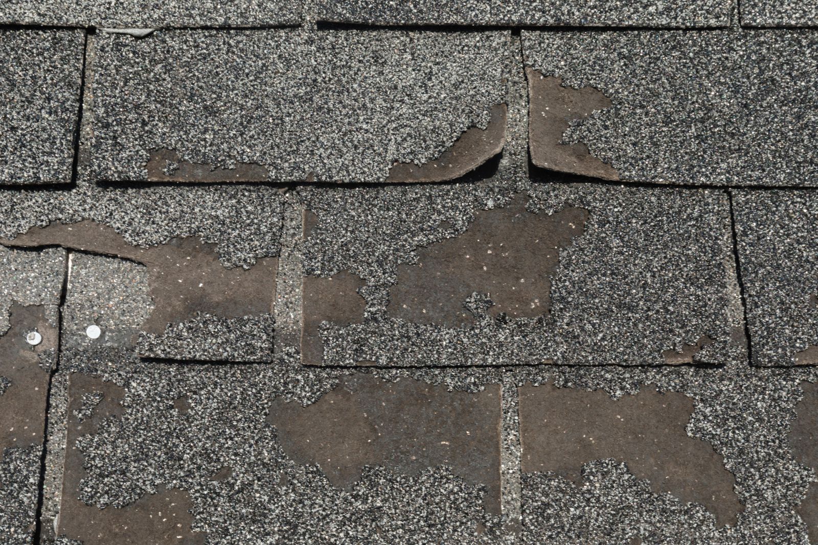 Adams Roofing Inc. Images