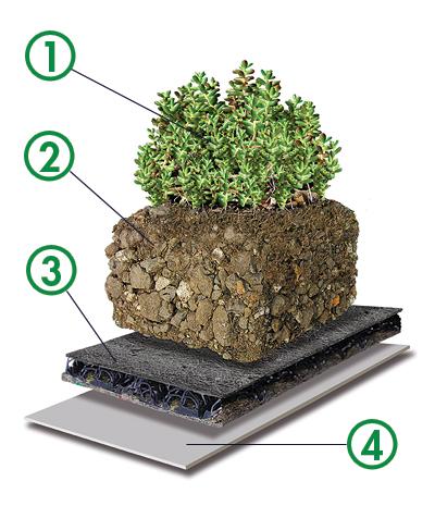 Adams Roofing Inc. Images