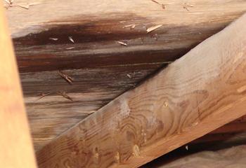 Adams Roofing Inc. Images