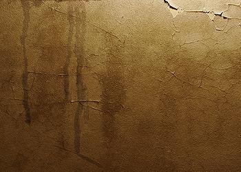 Adams Roofing Inc. Images